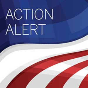 A graphic of a waving U.S. flag with the word Action Alert